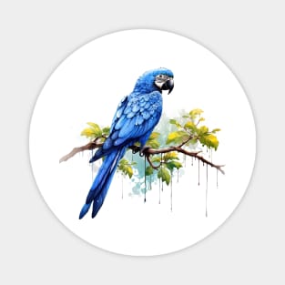 Hyacinth Macaw Magnet